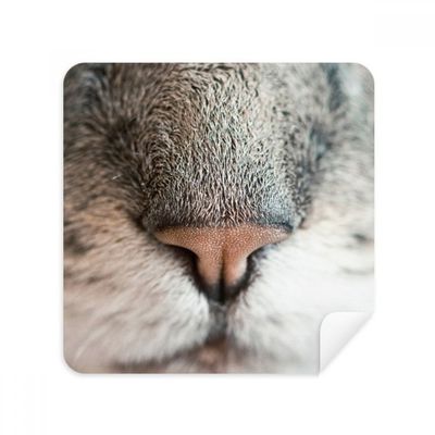 Animal Local Photograph Picture Glasses Cloth Screen Cleaner Suede Fabric 2 Pack