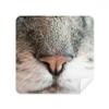 Animal Local Photograph Picture Glasses Cloth Screen Cleaner Suede Fabric 2 Pack view 1