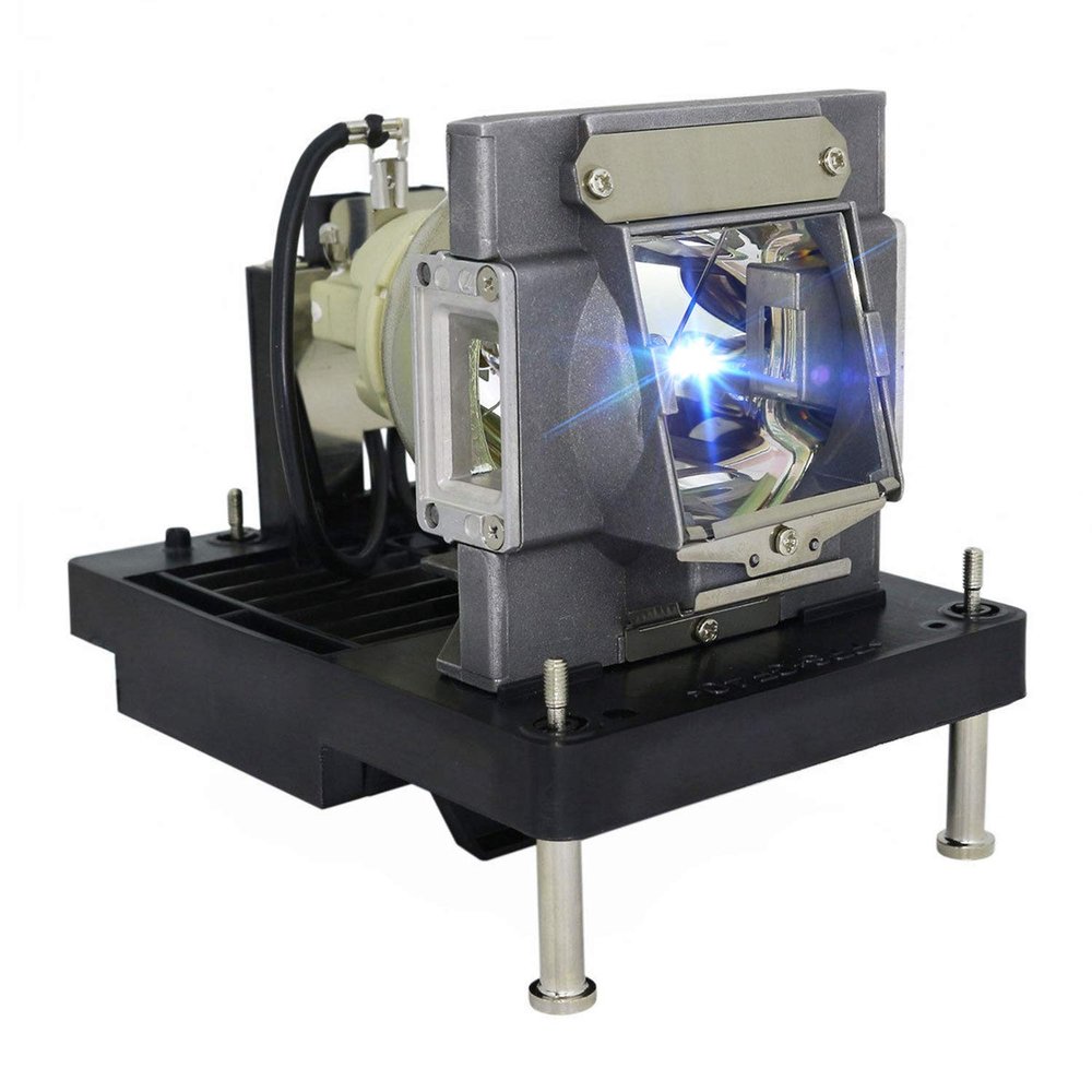 Visdia R9801087/NP22LP Premium Replacement Projector Lamp with Housing for Barco RLM W12 RLM-W12 NEC NP-PH1000U NP-PX700W NP-PX700W-08ZL NP-PX750U NP-PX750U-18ZL NP-PX800X NP-PX800X-08Z Projector