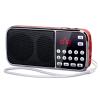 PRUNUS J189 Mini Bluetooth AM FM Radio, TF Card/USB/AUX Playback with Bass view 1