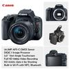 Canon EOS Rebel SL2 Digital SLR Camera with Canon EF-S 18-55mm is STM & 75-300mm III Lens + Sandisk 32GB SDHC Memory Card, Backpack and Accessory Bundle (Renewed) view 2