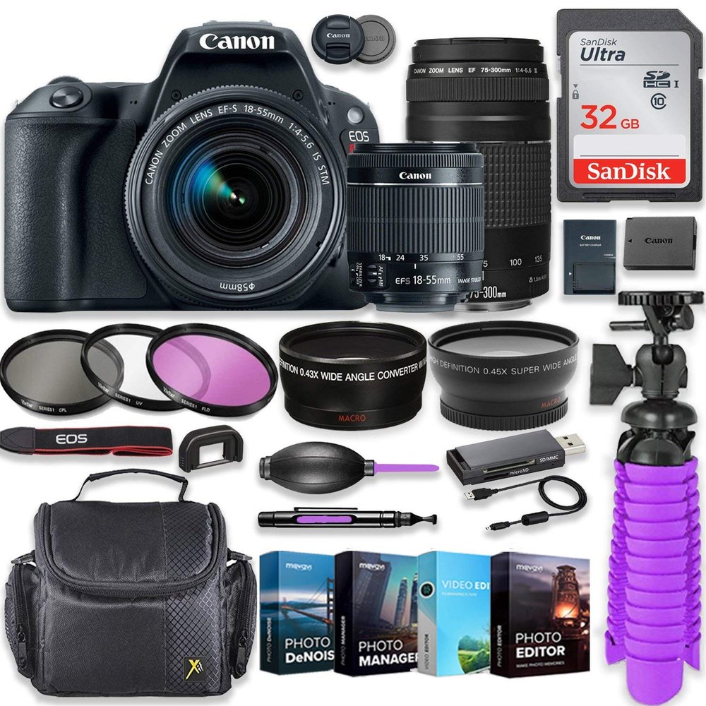 Canon EOS Rebel SL2 24.2MP DSLR Camera with Canon 18-55mm STM Lens & Canon EF 75-300mm III Lens Bundle + 32GB SD Memory + HD Filters + Spider Tripod + Professional Bundle with 4 Software Kit (Renewed)