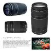 Canon EOS Rebel SL2 24.2MP DSLR Camera with Canon 18-55mm STM Lens & Canon EF 75-300mm III Lens Bundle + 32GB SD Memory + HD Filters + Spider Tripod + Professional Bundle with 4 Software Kit (Renewed) view 4