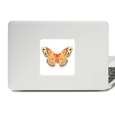 3D Chinese Butterfly in Orange Colour Decal Vinyl Paster Laptop Sticker PC Decoration