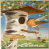 Holland Netherlands Bird Poster Reproduction / Format 50 x 70 cm Paper 300 g Digital HD Possible to Visit Us (Shop: Display.FR) view 1