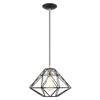 Livex Lighting 41323-04 Knox Collection 1 Light Pendant, Black with Brushed Nickel Accents view 1