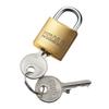 Sanwa Supply SLE-2L-2N e-Security (Padlock Small No. 2) view 1