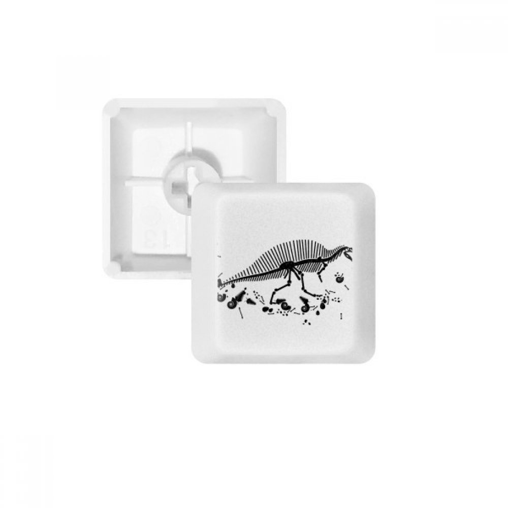 DIYthinker Dinosaur Huge Bone Bones Keycap Mechanical Keyboard PBT Gaming Upgrade Kit