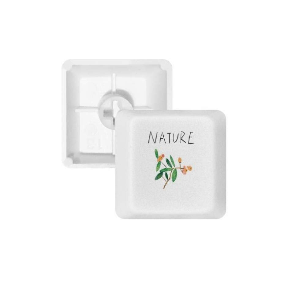 DIYthinker Natural Plants Island Painting Keycap Mechanical Keyboard PBT White OEM No Marking