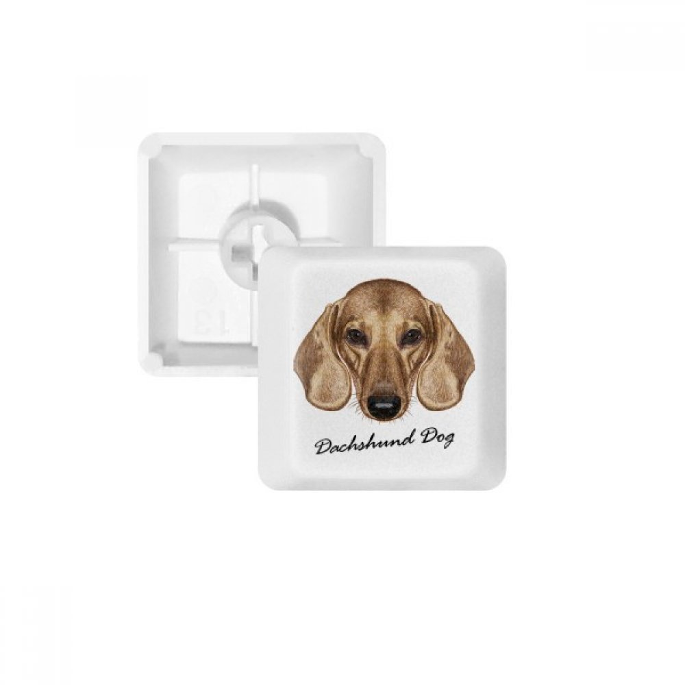 Brown Short-Leg Dachshund Dog Animal Keycap Mechanical Keyboard PBT Gaming Upgrade Kit
