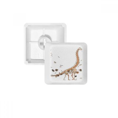 DIYthinker Dinosaur Grass Huge Bones Keycap Mechanical Keyboard PBT Gaming Upgrade Kit