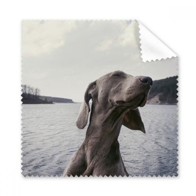 Dog Pet Animal Gray Picture Cleaning Cloth Phone Screen Glasses Cleaner 5pcs