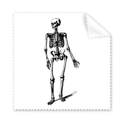 Walking Human Skeleton Sketch Cleaning Cloth Phone Screen Glasses Cleaner 5pcs