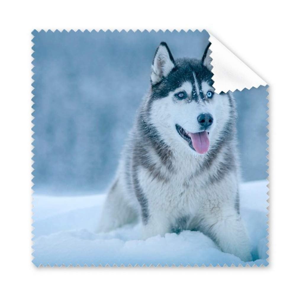 Dog Animal Snow Husky Picture Cleaning Cloth Phone Screen Glasses Cleaner 5pcs