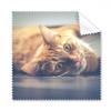Animal Yellow Cat Photograph Picture Cleaning Cloth Phone Screen Glasses Cleaner 5pcs view 1