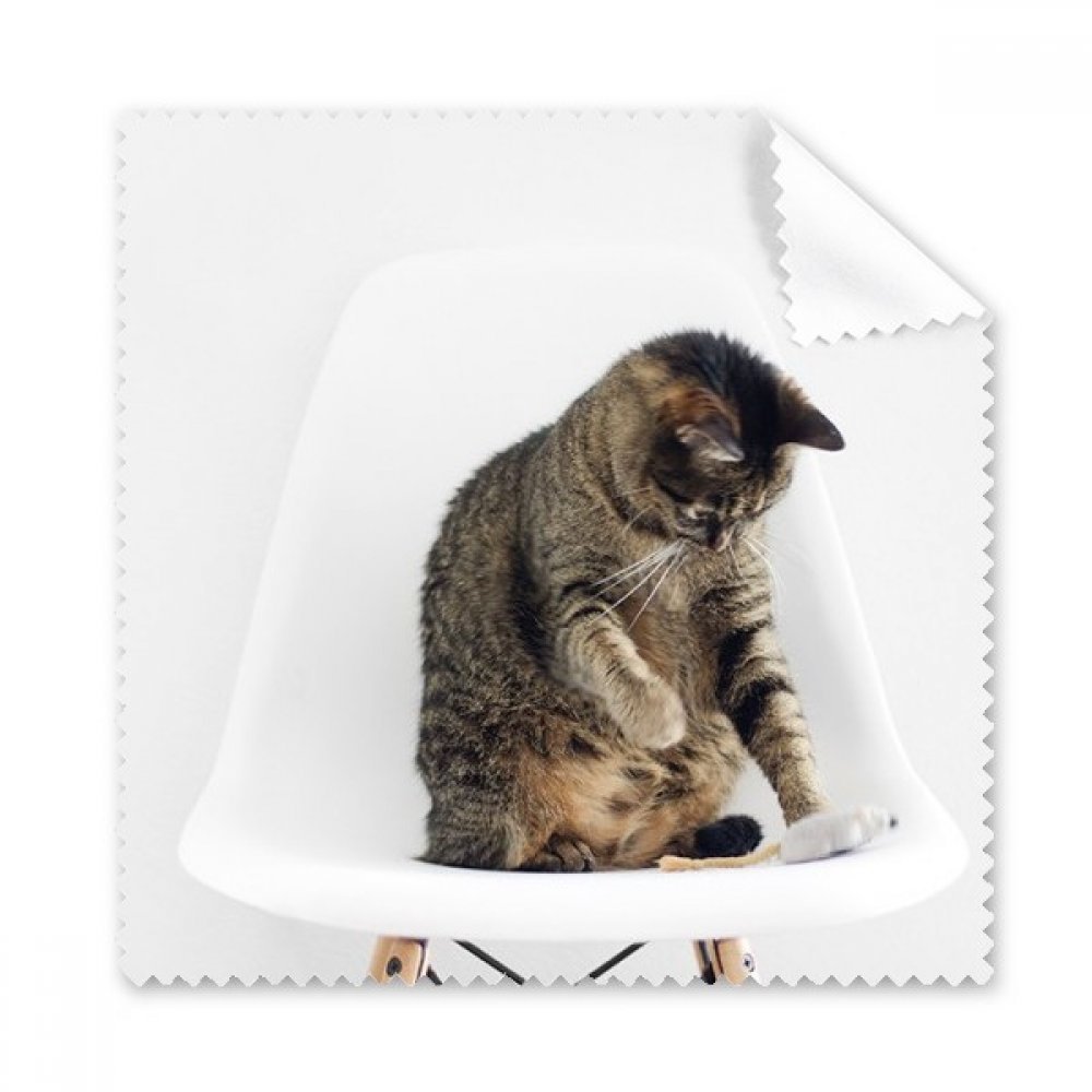 Animal Funny Action Cat Shoot Cleaning Cloth Phone Screen Glasses Cleaner 5pcs