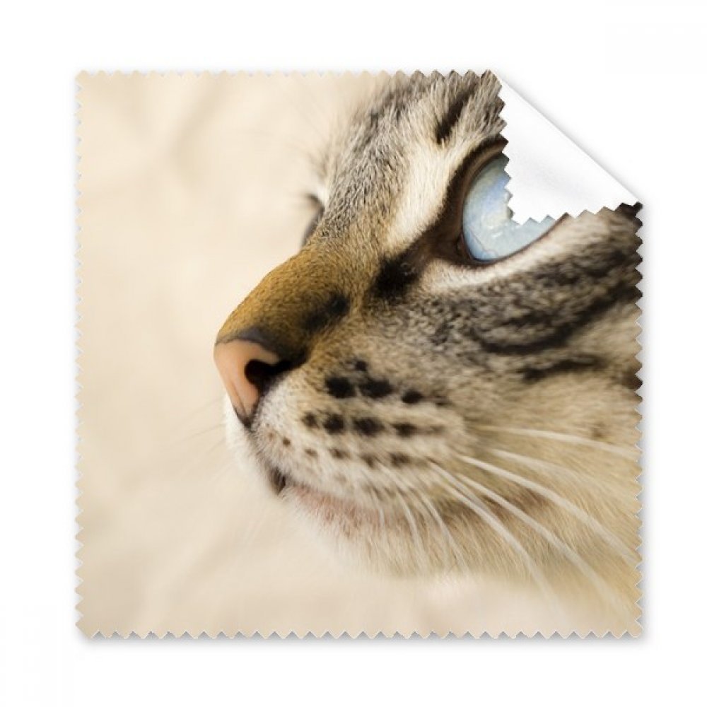 Animal Blue Eye Kitten Gray Photo Cleaning Cloth Phone Screen Glasses Cleaner 5pcs