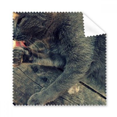 Animal Pattern Gray Cat Photograph Cleaning Cloth Phone Screen Glasses Cleaner 5pcs