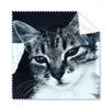 Animal Cool Gray Cat Photograph Cleaning Cloth Phone Screen Glasses Cleaner 5pcs view 1