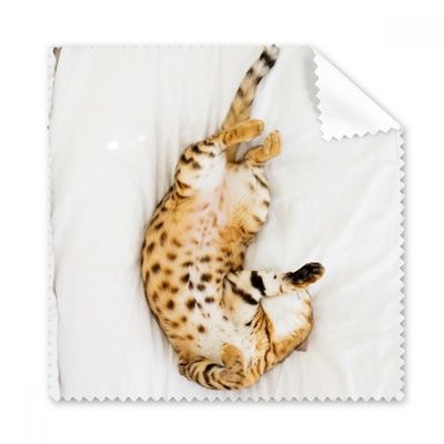 Animal Ocelot Cat Photograph Shoot Cleaning Cloth Phone Screen Glasses Cleaner 5pcs