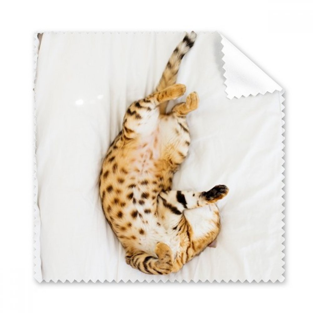 Animal Ocelot Cat Photograph Shoot Cleaning Cloth Phone Screen Glasses Cleaner 5pcs