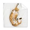 Animal Ocelot Cat Photograph Shoot Cleaning Cloth Phone Screen Glasses Cleaner 5pcs view 1