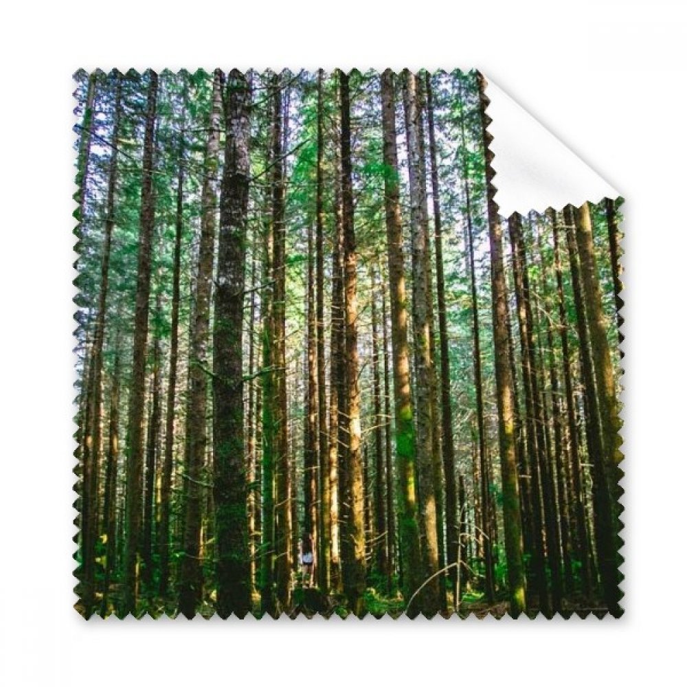 Green Forestry Science Nature Scenery Cleaning Cloth Phone Screen Glasses Cleaner 5pcs