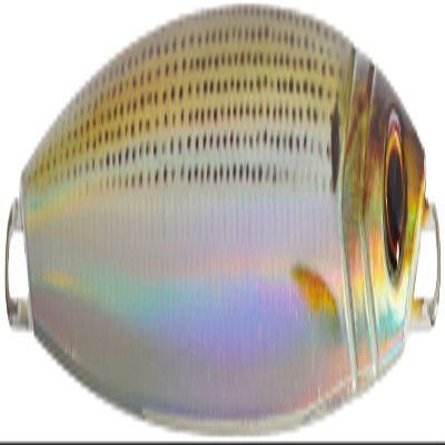 Majorcraft JPV-120L088LIVEKONOSHIROUV Jigpara Vertical LIVEBAIT 120g