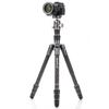 Benro BAT Carbon Fiber Travel Two Series Tripod with VX25 Dual-Pan Ball Head Multi-Angle Legs, Monopod Conversion, Arca-Compatible Quick Release & Compact 5-Section Design (FBAT24CVX25) view 4