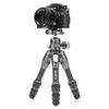 Benro Tortoise Columnless Carbon-Fiber Travel Tripod Kit with GX25 Dual-Pan Ball Head, Arca-Swiss Plate, Ultra-Compact Fold (TTOR03CGX25) view 4