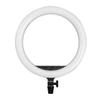 Godox LR150 18'' LED Ring Light (Bi-Color) view 1