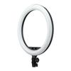 Godox LR150 18'' LED Ring Light (Bi-Color) view 2