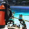 DIVTEK Float Arm D52-220 Scuba Diving Buoyancy Diveces Bracket with Nauticam Bayonet Mount for Underwater Photography Cameras Tray Video Light Strobe Arms view 3