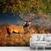SIGNWIN Wall Mural Wild Animals Removable Self-Adhesive Wallpaper Wall Decoration for Bedroom Living Room - 66x96 inches view 1