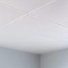 FASDE Square Decorative Vinyl 2ft x 2ft Lay in Ceiling Panel in Matte White (5 Pack) view 2