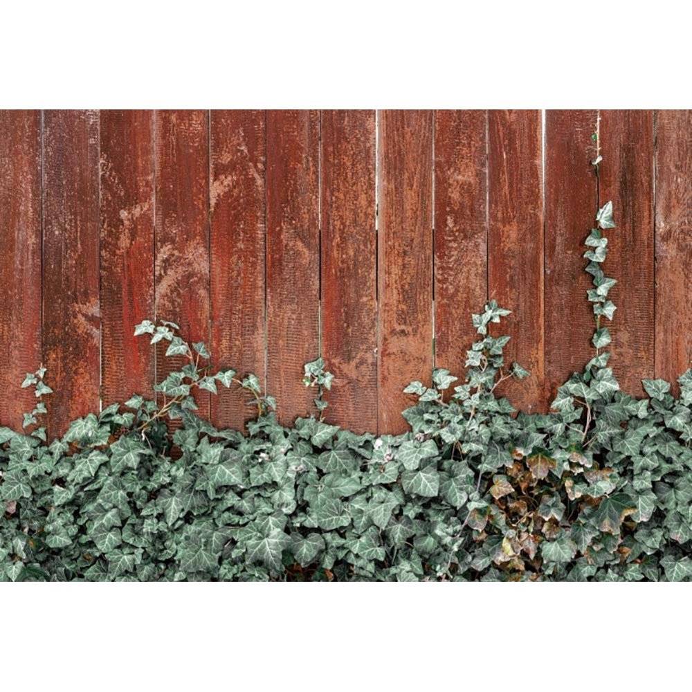 DORCEV 12x8ft Brown Vintage Wood Wall Photography Backdrop Green Ivy Leaves on Rustic Wooden Board Background Wedding Party Bridal Shower Kids Adults Portraits Photo Studio Props