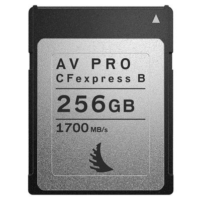 AV PRO CFexpress Type B Card | 256 GB