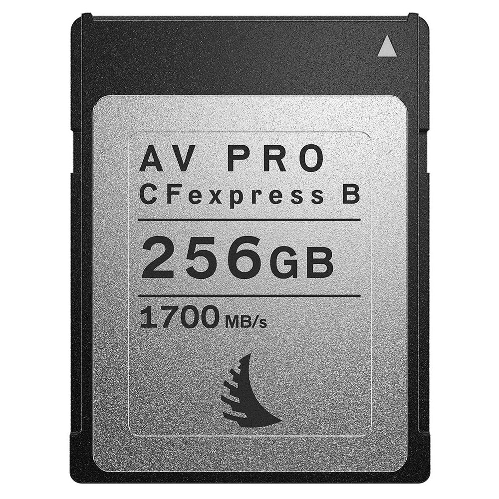 AV PRO CFexpress Type B Card | 256 GB
