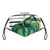Elvoes 6-Pack Pumpkin Face Mask, Thanksgiving Gifts Mask, Reusable Cloth Face Protection, Washable Reusable Mask for Women Men Teens view 2