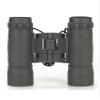 Norbert Midget 10x25 Green Line Binocular view 2