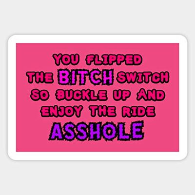 Bitch Switch - Sticker Graphic - Decal Sticker Sticker