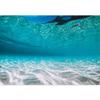 SIGNWIN Wall Mural Under The Sea Fish Removable Self-Adhesive Wallpaper Wall Decoration for Bedroom Living Room - 66x96 inches view 2