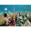 SIGNWIN Wall Mural Under The Sea Fish Removable Self-Adhesive Wallpaper Wall Decoration for Bedroom Living Room - 66x96 inches view 2