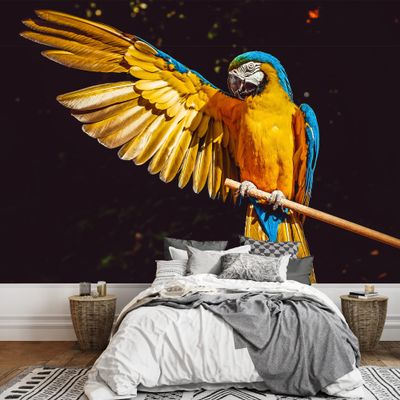 SIGNWIN Wall Mural A Big Bird Removable Self-Adhesive Wallpaper Wall Decoration for Bedroom Living Room - 66x96 inches