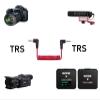 3.5mm TRS to TRS Patch Cable Cord Wire for Canon, Nikon & Other Cameras with 3.5mm Mic Jack, Compatible with Rode VideoMicro, Wireless GO II, Movo, GoPro Pro with Mic Adapter & Other External Mics view 2