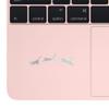 NBFU Cute Cat Jumping Animal Lover Pet 1 (Hologram) (Set Of 2) Premium Waterproof Vinyl Decal Stickers For Laptop Phone Accessory Helmet Car Window Bumper Mug Tuber Cup Door Wall Decoration view 3