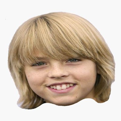 Cole Sprouse Floating Head Sticker - Sticker Graphic -Stickers for Hydroflask Water Bottles Laptop Computer Skateboard, Waterproof Decal Stickers