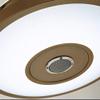 Bluetooth Ceiling Fan with Lights and Speaker, 42 inch Gold Ceiling Fan 7 Color Changing LED Invisible Retractable Fan with Remote Control 40W Chandelier Fans for Bedroom view 2