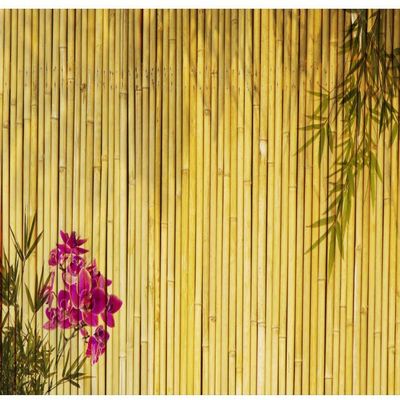 CSFOTO 12x8ft Lunar New Year Bamboo Backdrop Chinese Style Decorations Blooming Flowers Birthday Party Background Tearoom Decor Photo Backdrop Japanese Bamboo Background