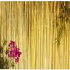 CSFOTO 12x8ft Lunar New Year Bamboo Backdrop Chinese Style Decorations Blooming Flowers Birthday Party Background Tearoom Decor Photo Backdrop Japanese Bamboo Background view 1